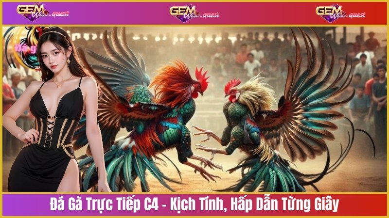 đá gà trực tiếp C4