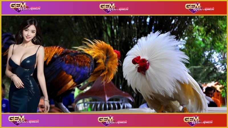 Trường Gà Savan – Đỉnh Cao Kịch Tính Của Đá Gà Trực Tuyến 2 Những quy tắc tham gia quan trọng tại trường gà savan